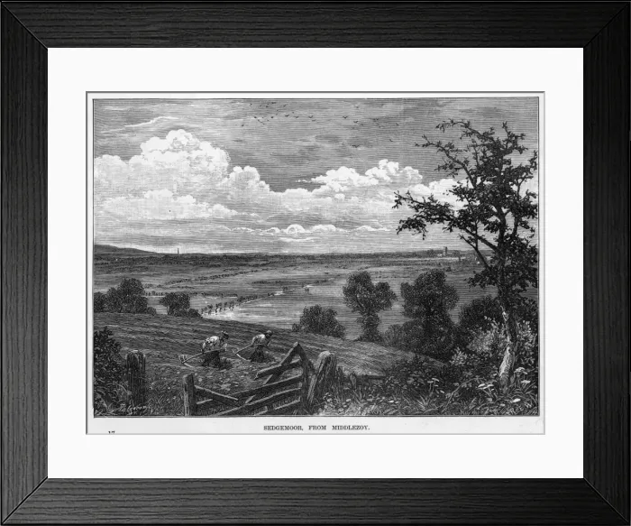 Framed Print : Sedgemoor, Somerset Framed Print : Sedgemoor, Somerset