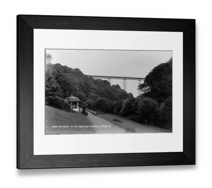 Framed Print : Saltburn in the Pleasure Garden Framed Print : Saltburn in the Pleasure Garden