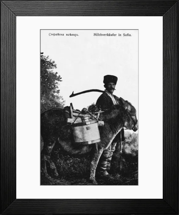 Framed Print : Milkman with his Donkey - Sofia, Bulgaria Framed Print : Milkman with his Donkey - Sofia, Bulgaria
