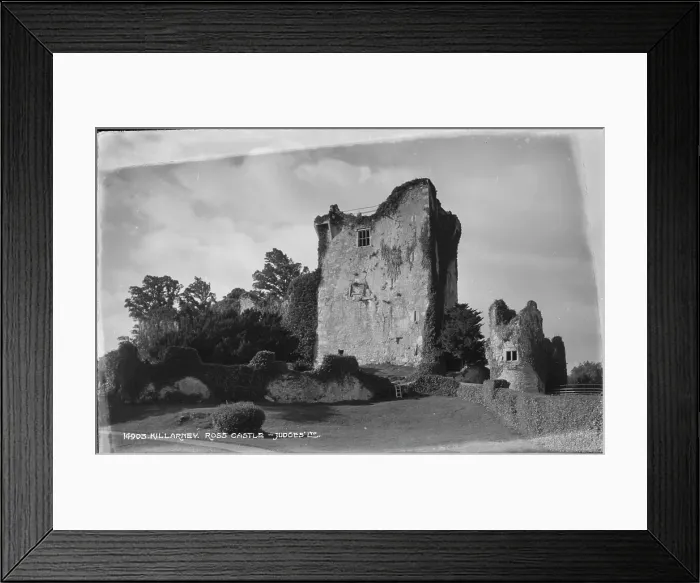 Framed Print : Ross Castle Ruins Framed Print : Ross Castle Ruins