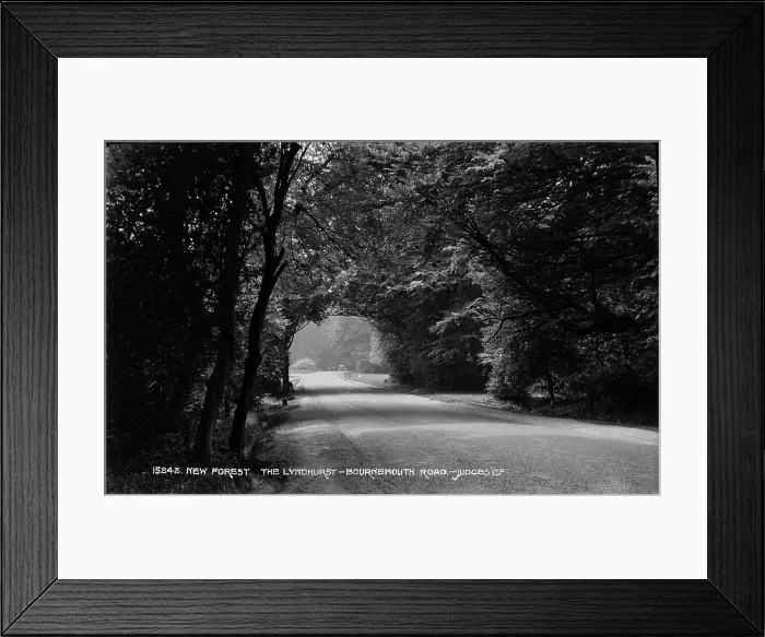 Framed Print : The Lyndhurst-Bournemouth Road in New Forest Framed Print : The Lyndhurst-Bournemouth Road in New Forest