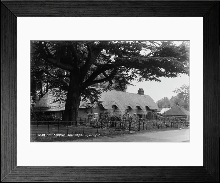 Framed Print : Thatched Cottage in Swan Green Framed Print : Thatched Cottage in Swan Green