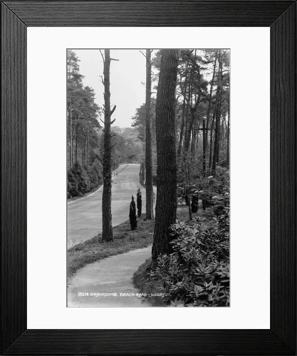Framed Print : Branksome Beach Road Framed Print : Branksome Beach Road