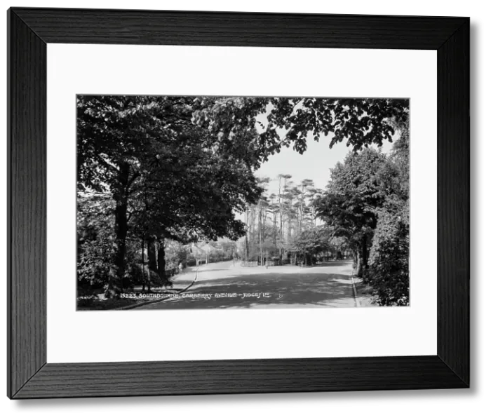 Framed Print : Southbourne Carberry Avenue Framed Print : Southbourne Carberry Avenue