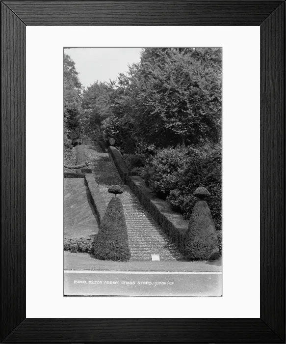 Framed Print : Grass Steps at Milton Abbey Framed Print : Grass Steps at Milton Abbey