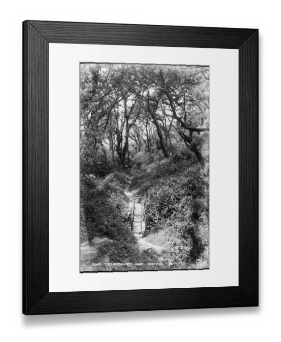 Framed Print : Pathway Through Ecclesbourne Glen Framed Print : Pathway Through Ecclesbourne Glen