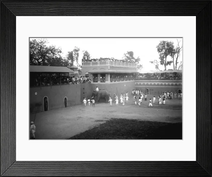 Framed Print : Scene in a sporting arena, India Framed Print : Scene in a sporting arena, India