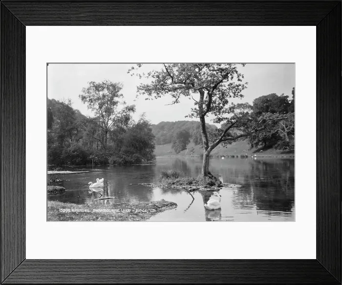 Framed Print : Tranquil Scene at Swanbourne Lake Framed Print : Tranquil Scene at Swanbourne Lake