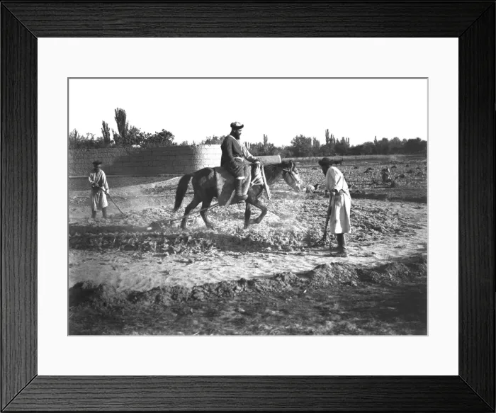 Framed Print : Men training a horse, Kashgar, western China Framed Print : Men training a horse, Kashgar, western China