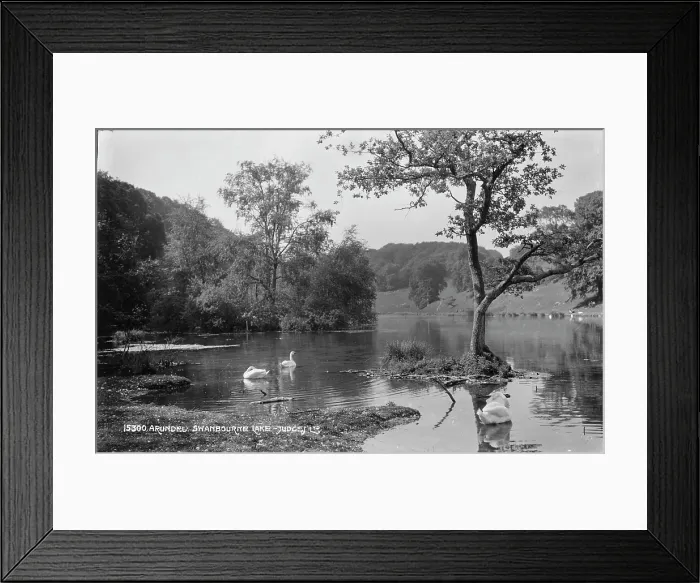 Framed Print : Tranquil Scene at Swanbourne Lake Framed Print : Tranquil Scene at Swanbourne Lake