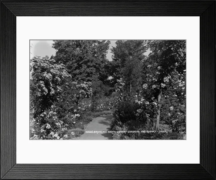 Framed Print : The Rosary in Library Gardens Framed Print : The Rosary in Library Gardens