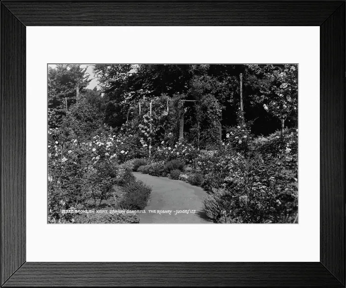 Framed Print : The Rosary at Bromley Library Gardens Framed Print : The Rosary at Bromley Library Gardens