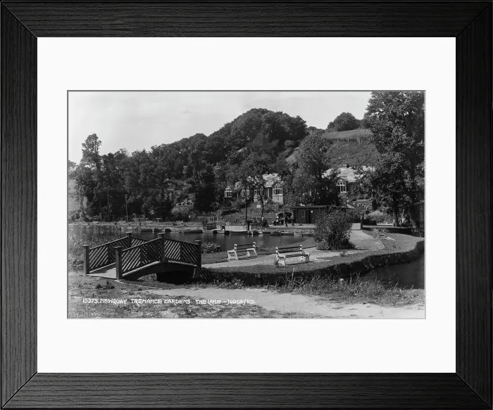 Framed Print : Tremance Gardens, The Lake Framed Print : Tremance Gardens, The Lake