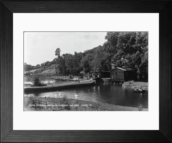 Framed Print : Tranquil Scene at Trenance Gardens Framed Print : Tranquil Scene at Trenance Gardens