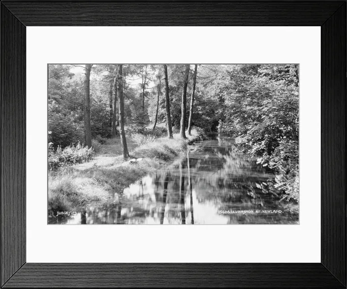 Framed Print : Tranquil Scene at Newland Framed Print : Tranquil Scene at Newland
