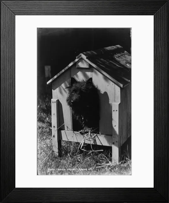 Framed Print : House Proud Framed Print : House Proud