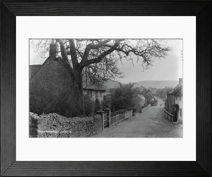 Framed Print : A Quiet Street in Chideock Framed Print : A Quiet Street in Chideock