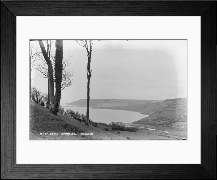 Framed Print : Scenic View Above Charmouth Framed Print : Scenic View Above Charmouth