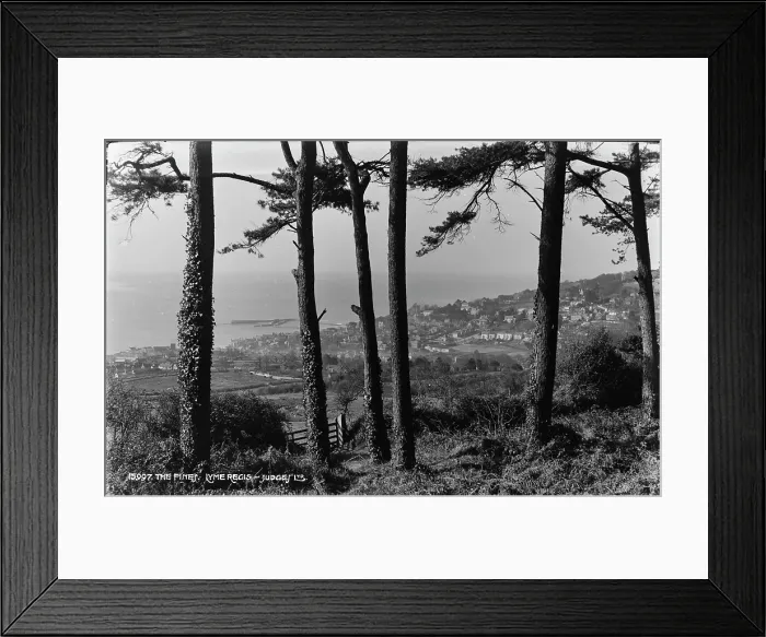Framed Print : Scenic View from The Pines Framed Print : Scenic View from The Pines