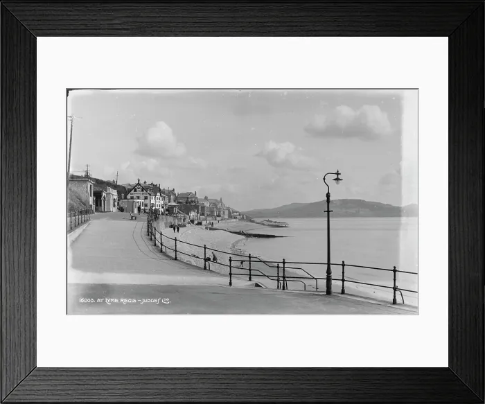 Framed Print : Seaside Promenade at Lyme Regis Framed Print : Seaside Promenade at Lyme Regis