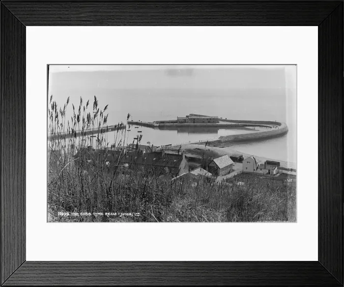 Framed Print : The Cobb, Lyme Regis Framed Print : The Cobb, Lyme Regis