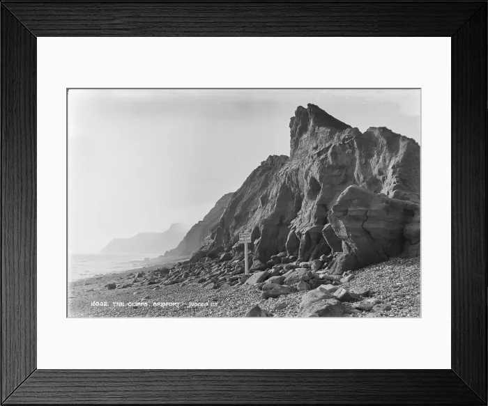 Framed Print : The Cliffs at Bridport