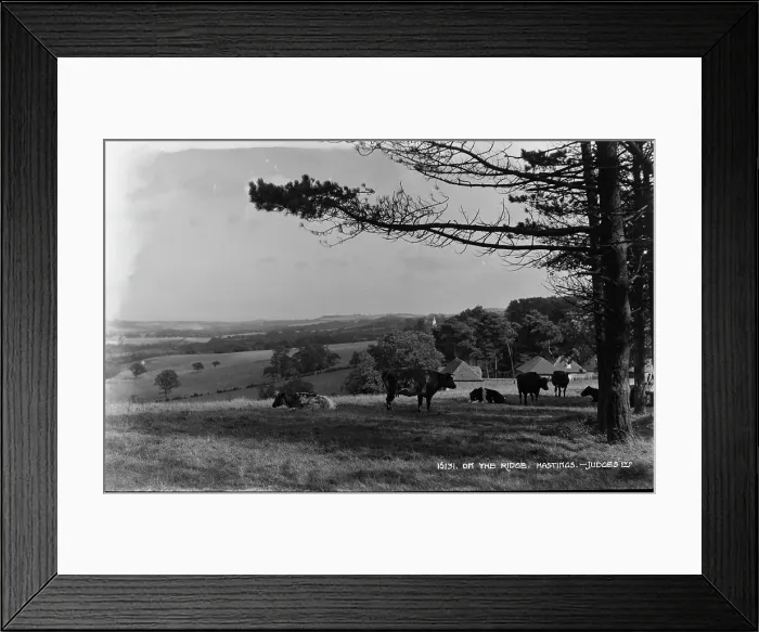 Framed Print : On the Ridge, Hastings Framed Print : On the Ridge, Hastings