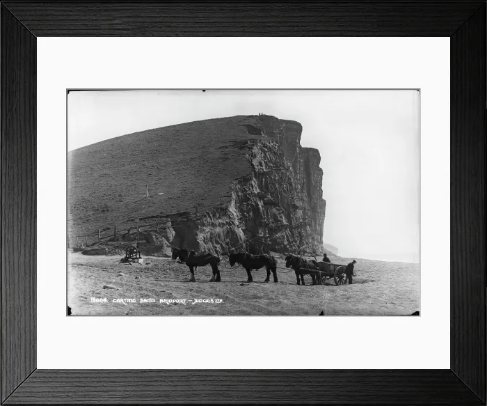 Framed Print : Carting Sand at Bridport