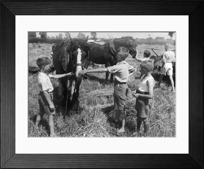 Framed Print : Boys Club members with horses 1934 Framed Print : Boys Club members with horses 1934
