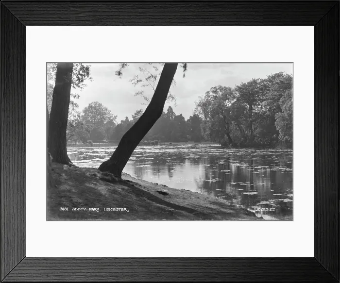 Framed Print : Abbey Park Framed Print : Abbey Park