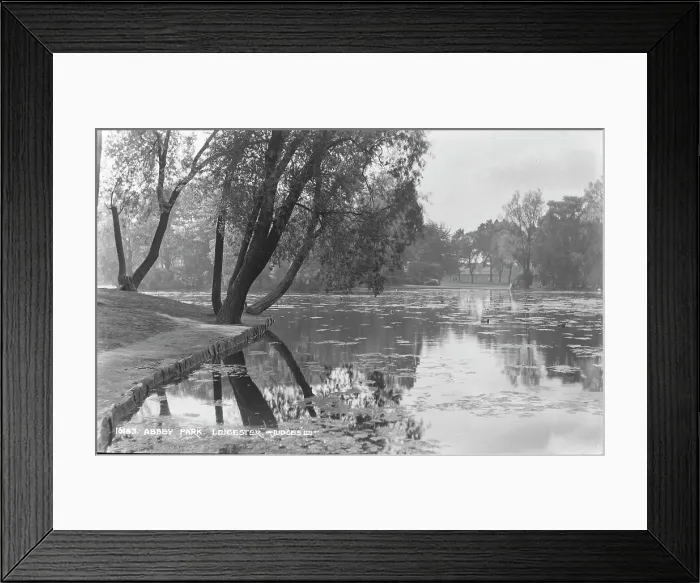 Framed Print : Tranquil Scene at Abbey Park Framed Print : Tranquil Scene at Abbey Park