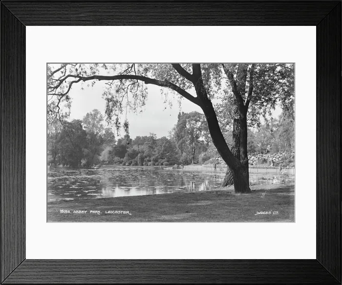 Framed Print : Tranquil Scene at Abbey Park Framed Print : Tranquil Scene at Abbey Park