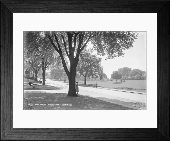 Framed Print : The Stray, Harrogate Framed Print : The Stray, Harrogate