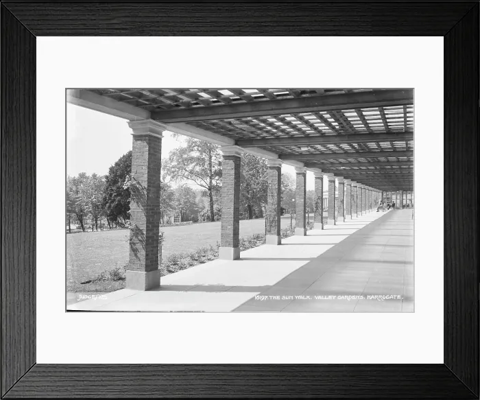 Framed Print : The Sun Walk, Valley Gardens Framed Print : The Sun Walk, Valley Gardens