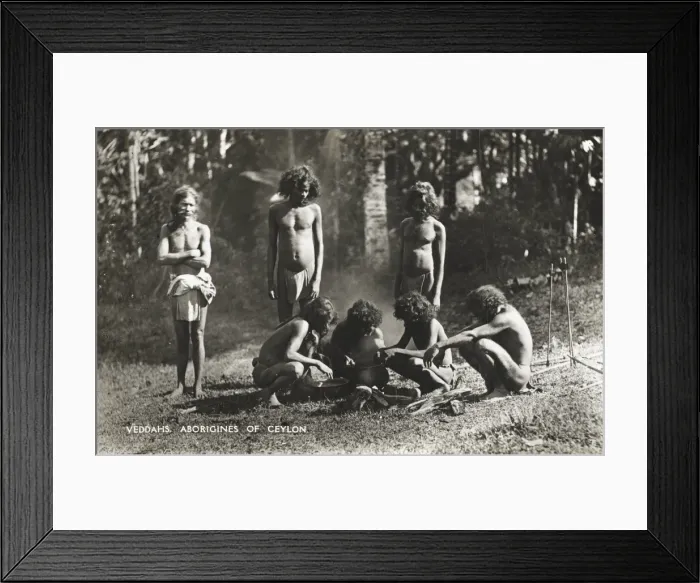 Framed Print : Sri Lanka - Veddahs cooking Framed Print : Sri Lanka - Veddahs cooking