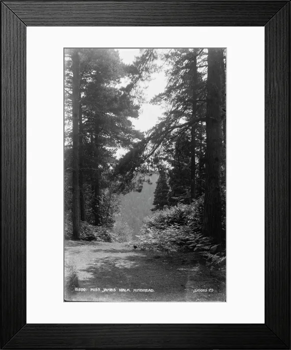 Framed Print : Miss James Walk, Hindhead Framed Print : Miss James Walk, Hindhead
