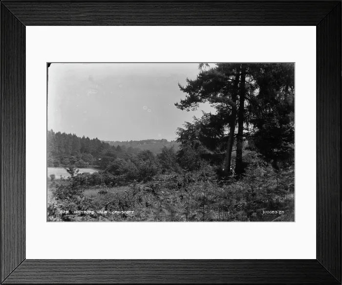 Framed Print : Whitmore Vale, Grayshott Framed Print : Whitmore Vale, Grayshott