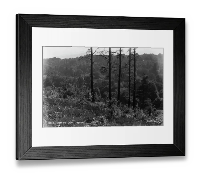 Framed Print : Whitmore Vale, Grayshott Framed Print : Whitmore Vale, Grayshott
