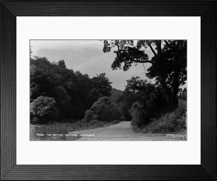 Framed Print : The Bottom, Whitmore, Grayshott Framed Print : The Bottom, Whitmore, Grayshott