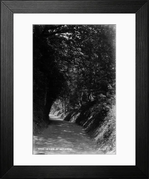 Framed Print : A Lake at Haslemere Framed Print : A Lake at Haslemere