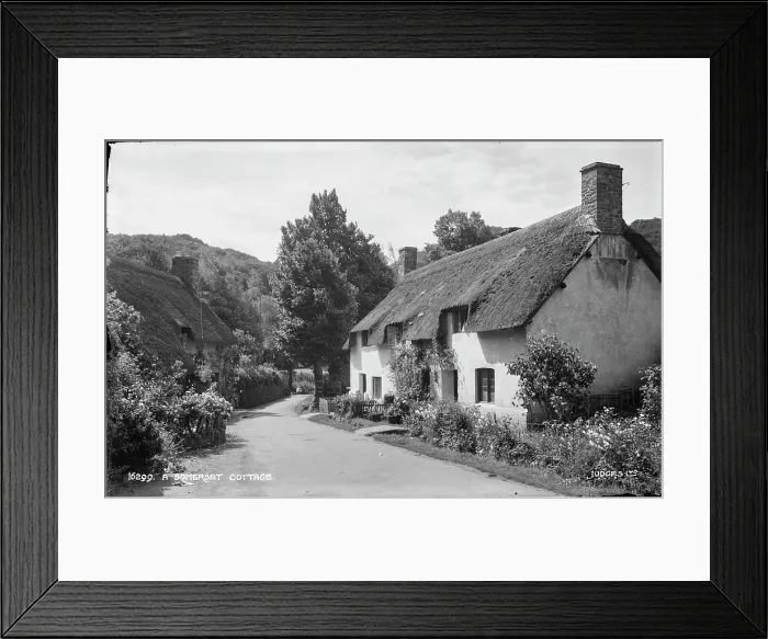 Framed Print : A Somerset Cottage Framed Print : A Somerset Cottage