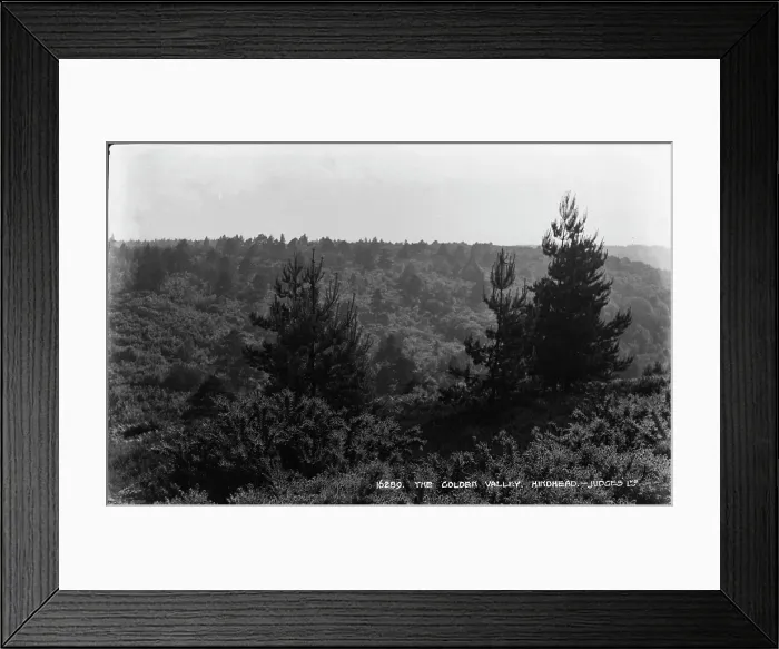 Framed Print : The Golden Valley, Hindhead Framed Print : The Golden Valley, Hindhead