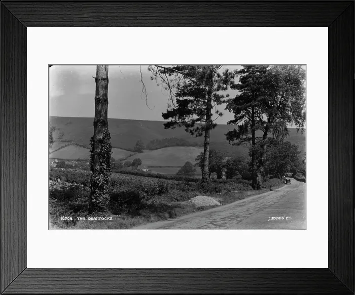 Framed Print : The Quantocks Framed Print : The Quantocks