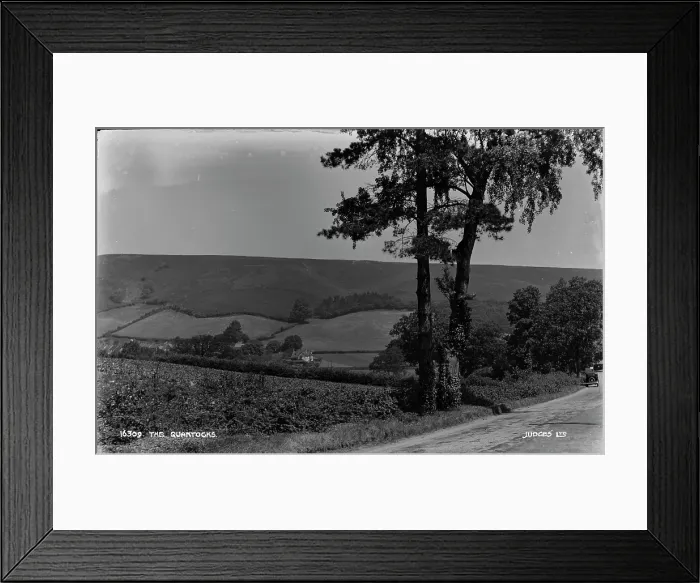 Framed Print : The Quantocks Framed Print : The Quantocks