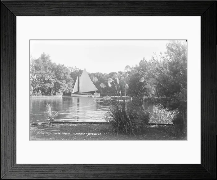 Framed Print : Sailing on Daisy Broad Framed Print : Sailing on Daisy Broad