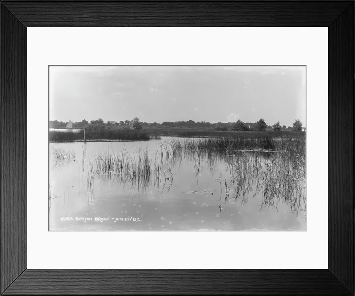 Framed Print : Tranquil Waters of Barton Broad Framed Print : Tranquil Waters of Barton Broad