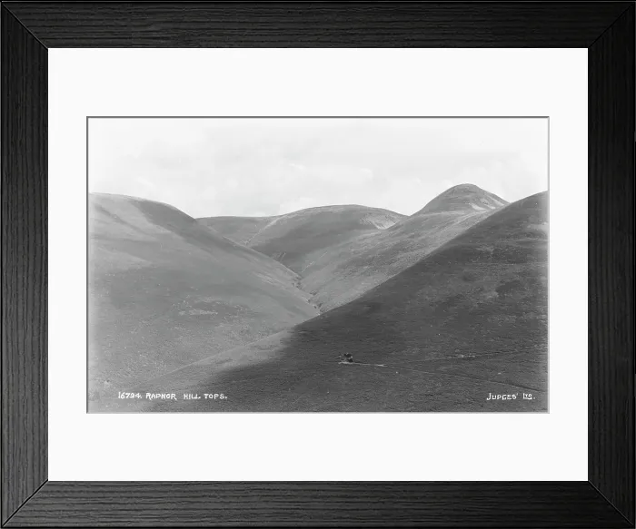 Framed Print : Radnor Hill Tops Framed Print : Radnor Hill Tops