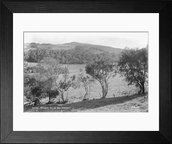 Framed Print : Radnor Hills and Forest Framed Print : Radnor Hills and Forest