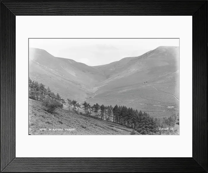 Framed Print : Scenic View of Radnor Forest Framed Print : Scenic View of Radnor Forest