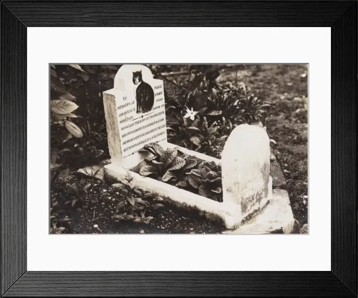 Framed Print : Grave of a pet dog Framed Print : Grave of a pet dog